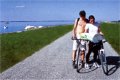 Dunajska Cycle-road