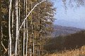 Malokarpatska cycle-road