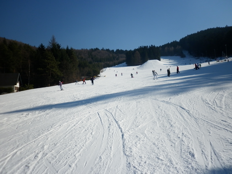 Ski Drienica - Lysa