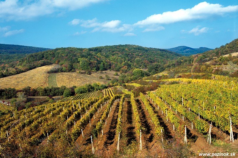 The Wine Route SlovakiaTravels