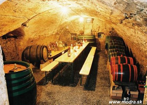 Modra - the wine cellar