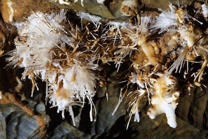 Grotta delle aragoniti di Ochtina - foto: peto pavlov Grotta delle aragoniti di Ochtina- foto: peto pavlov